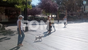 Napadi na prosvetne radnike 